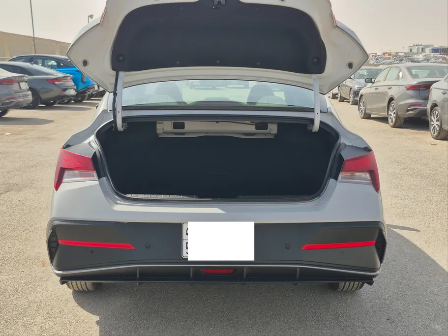 2024 Hyundai Elantra Fleet 