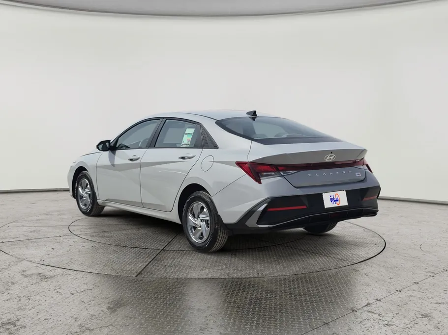2024 Hyundai Elantra Fleet 