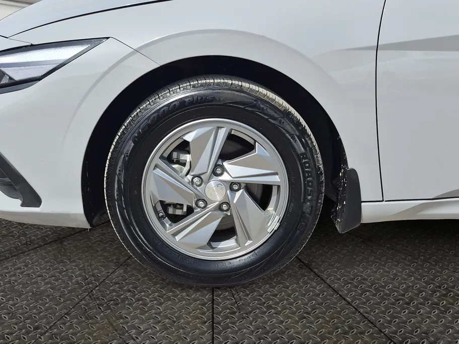 2024 Hyundai Elantra Fleet 