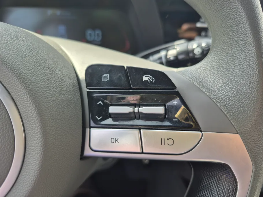 2024 Hyundai Elantra Fleet 