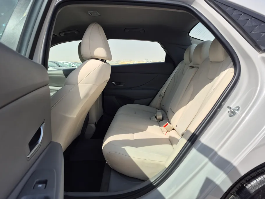 2024 Hyundai Elantra Fleet 