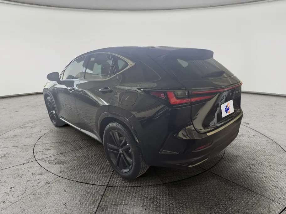 2024 Lexus NX 350 CC 