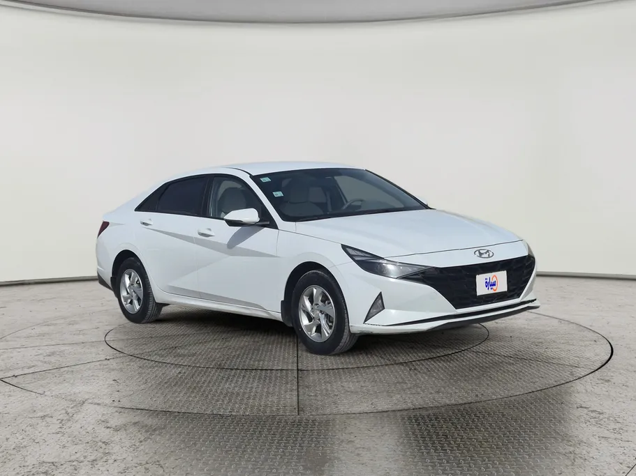 2021 Hyundai Elantra Fleet 