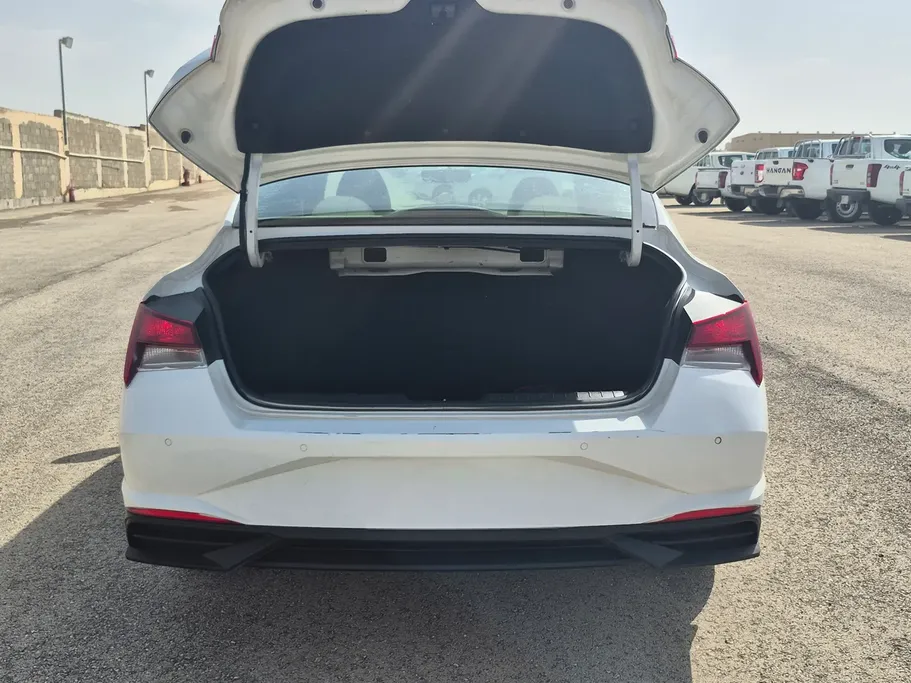 2021 Hyundai Elantra Fleet 