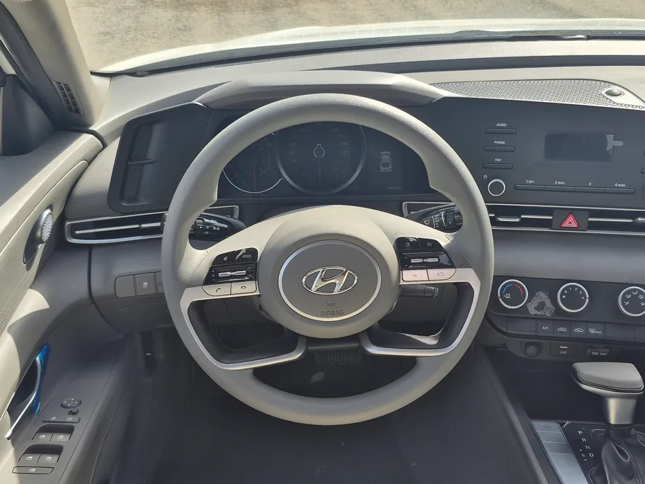 2021 Hyundai Elantra Fleet 
