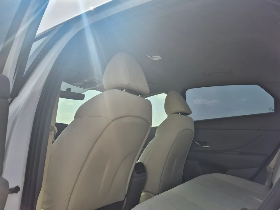 2021 Hyundai Elantra Fleet 