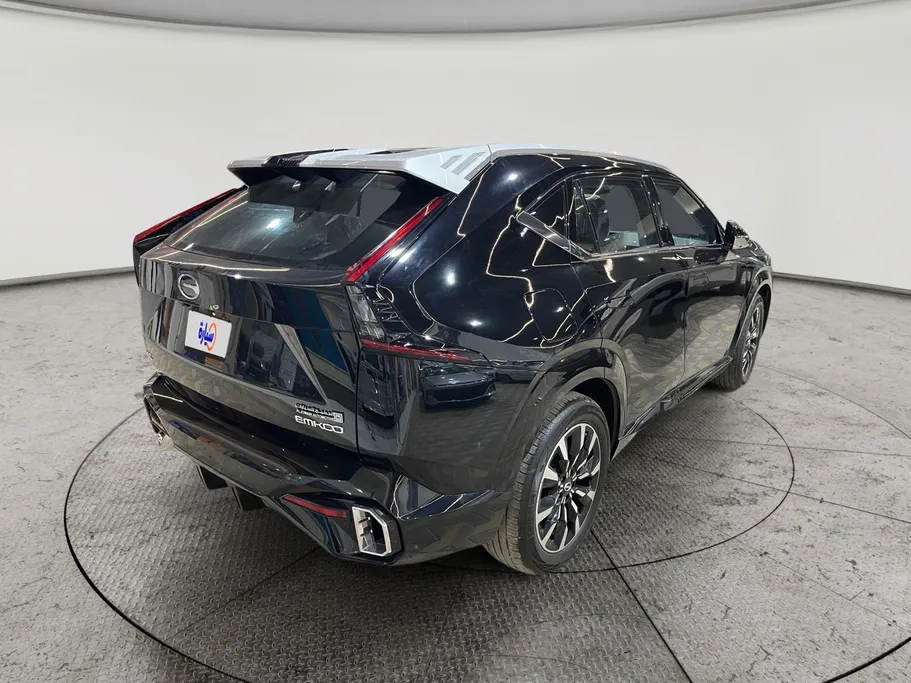 2025 GAC Emkoo GL 