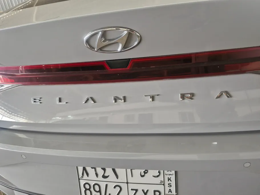 2023 Hyundai Elantra Fleet 