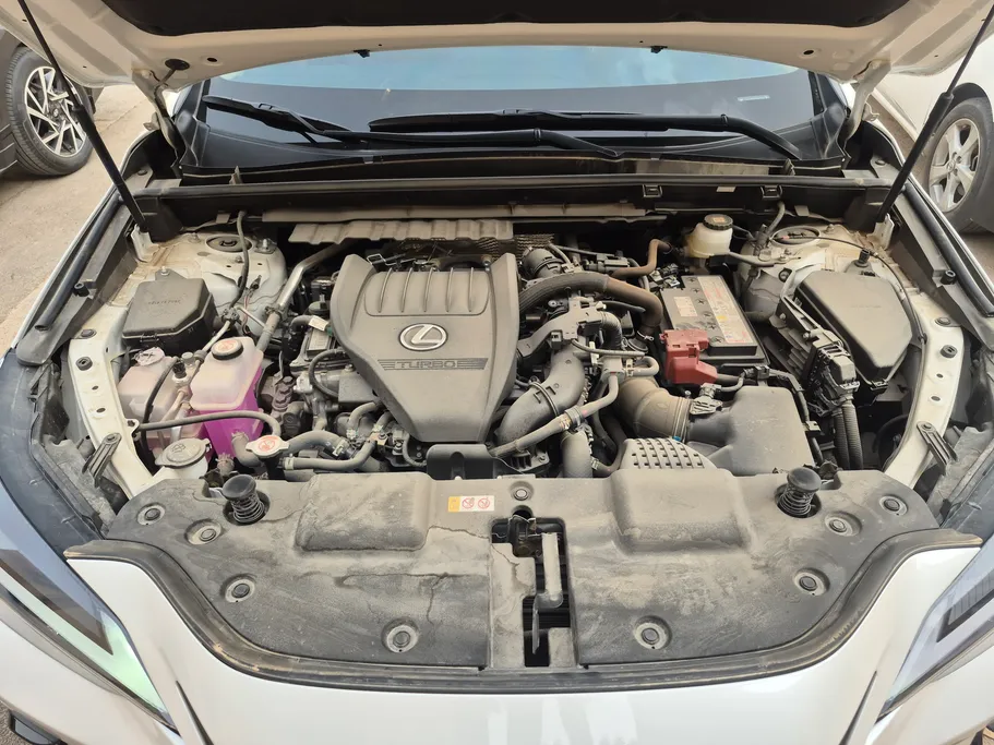 لكزس NX 350 AA Elegant	 2025 