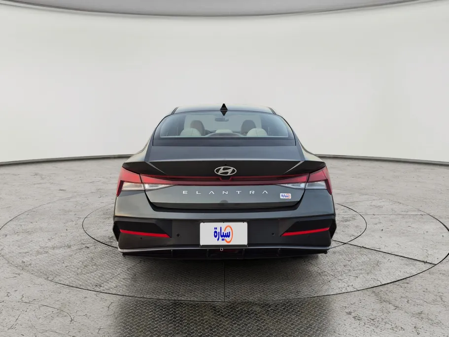 2024 Hyundai Elantra Fleet 