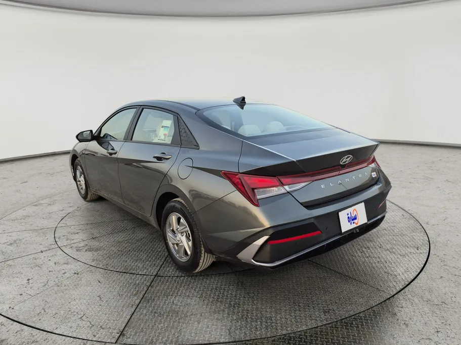 2024 Hyundai Elantra Fleet 