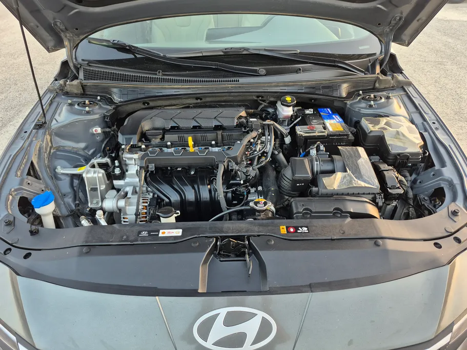 2024 Hyundai Elantra Fleet 
