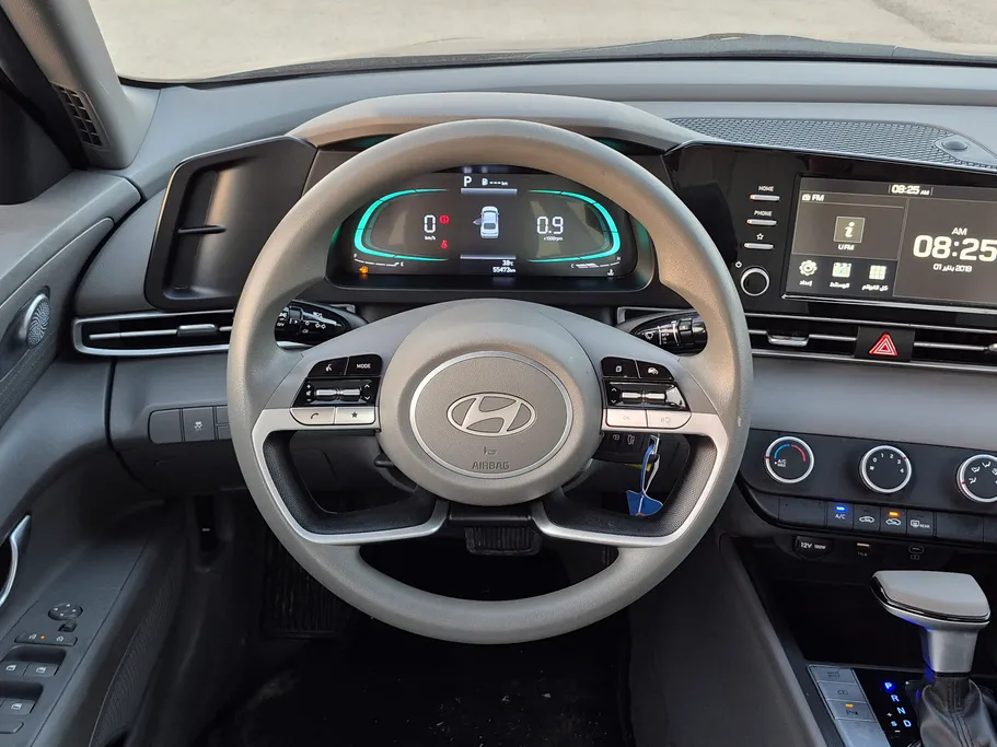 2024 Hyundai Elantra Fleet 