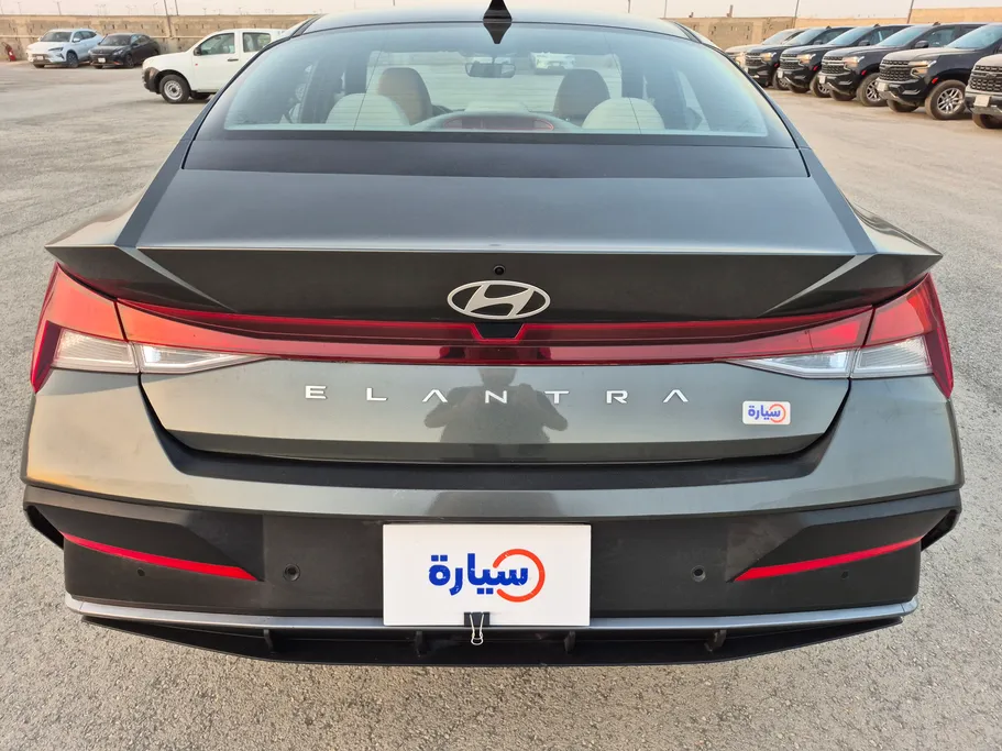2024 Hyundai Elantra Fleet 
