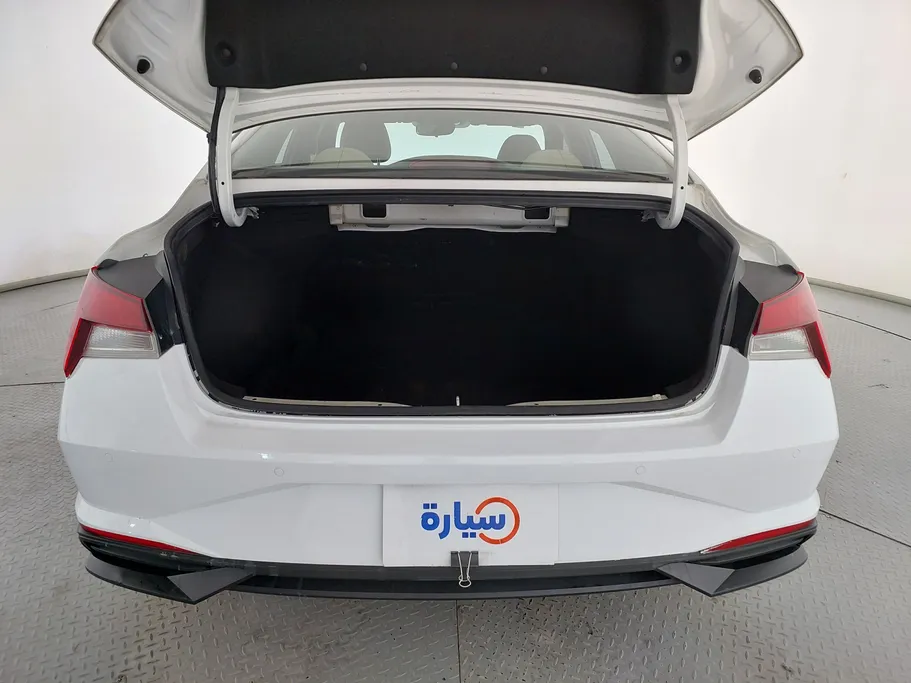2021 Hyundai Elantra Fleet 
