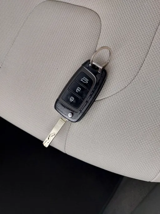 2021 Hyundai Elantra Fleet 