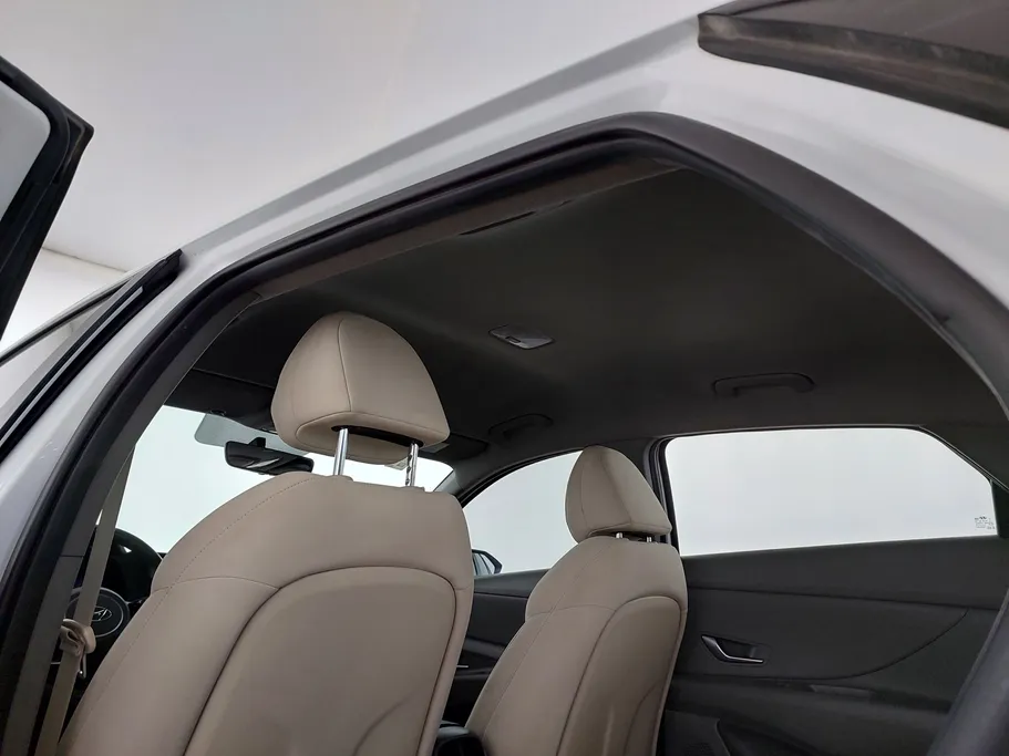 2021 Hyundai Elantra Fleet 