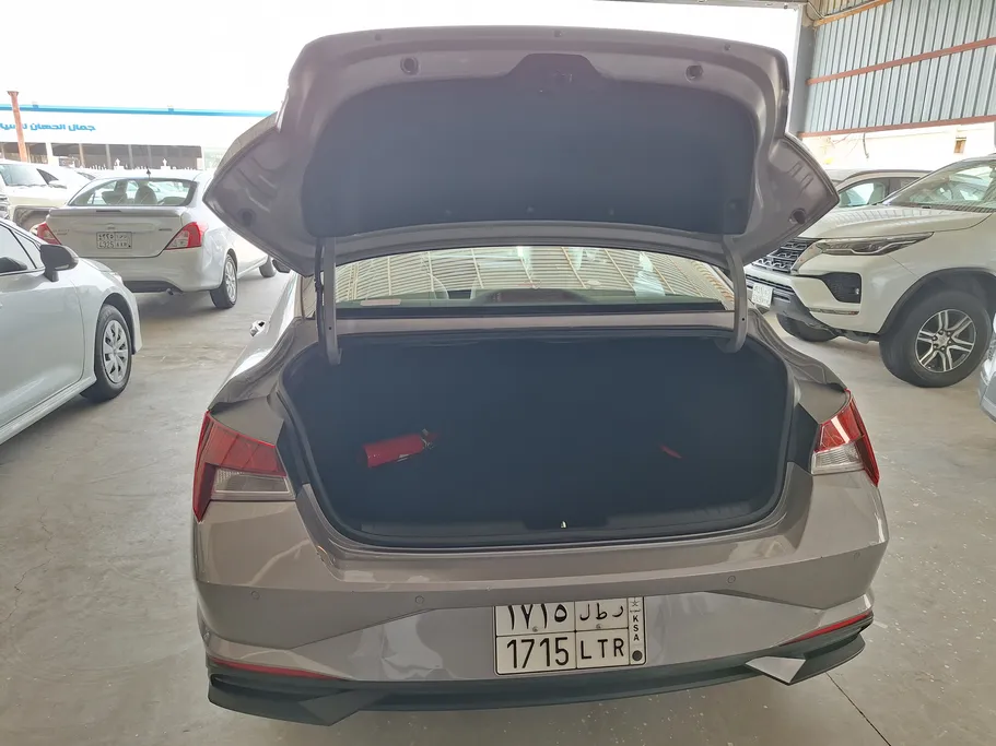 2023 Hyundai Elantra Fleet 