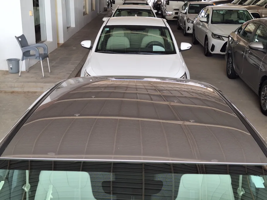 2023 Hyundai Elantra Fleet 