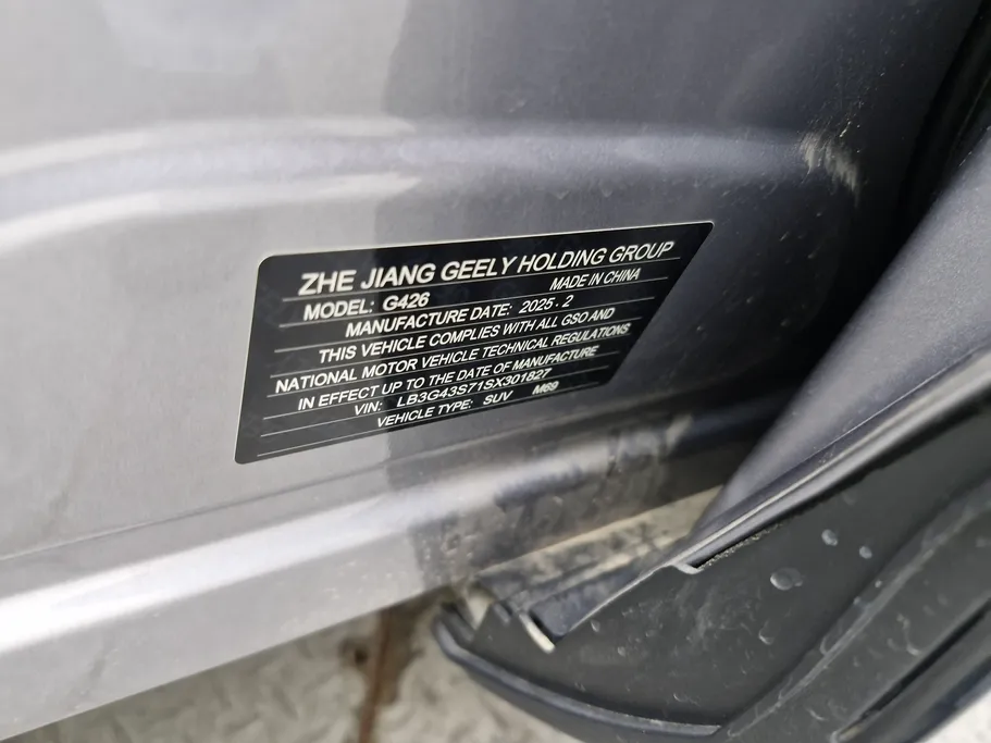 2025 Geely City Ray GF 