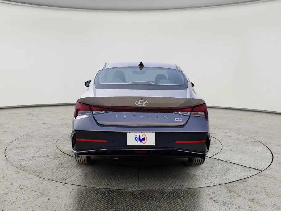 2024 Hyundai Elantra Fleet 
