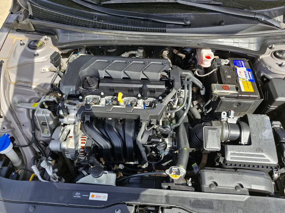 2024 Hyundai Elantra Fleet 