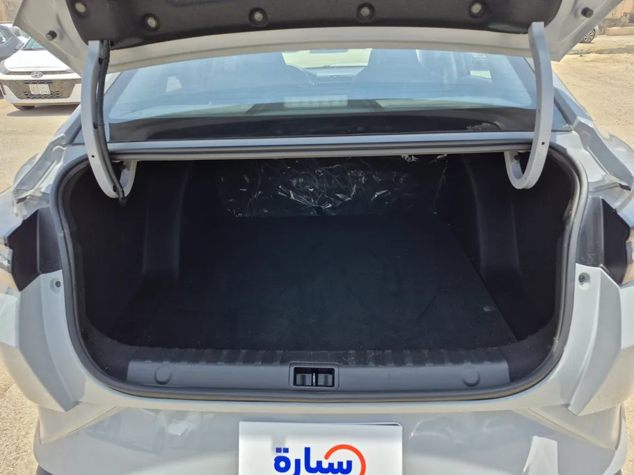 دونج فينج شاين E1 2024 