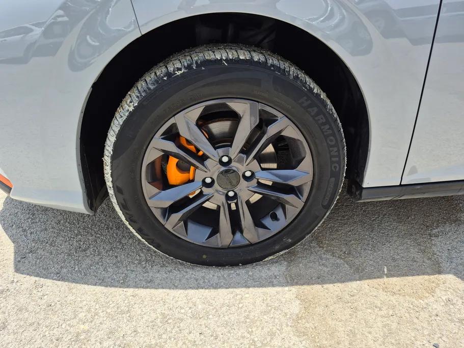 دونج فينج شاين E1 2024 