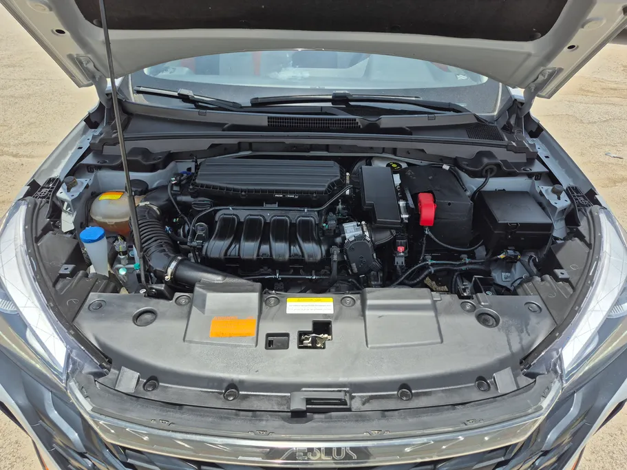 دونج فينج شاين E1 2024 