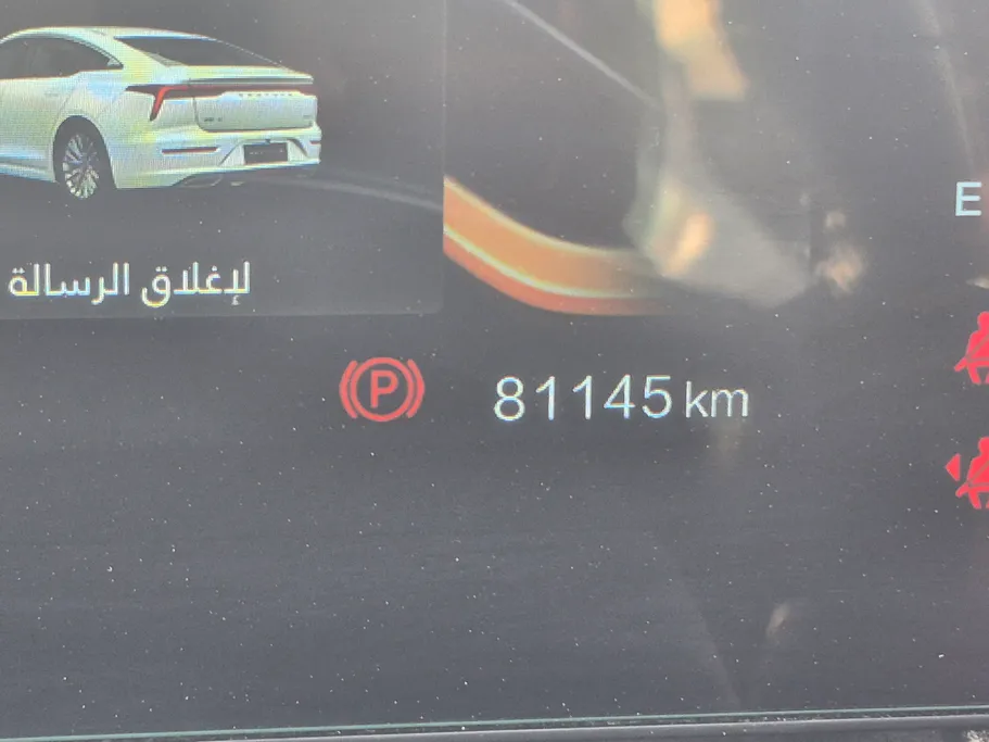 فاو بيستون بي 70 ليمو 2023 