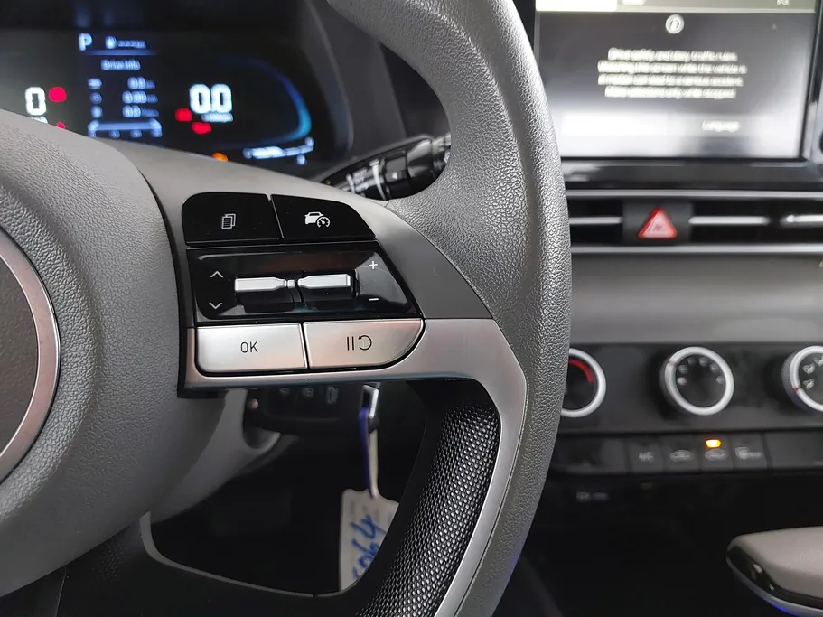 2024 Hyundai Elantra Fleet 