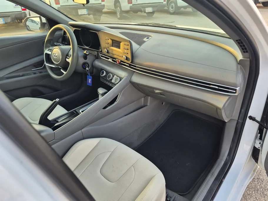 2022 Hyundai Elantra Fleet 