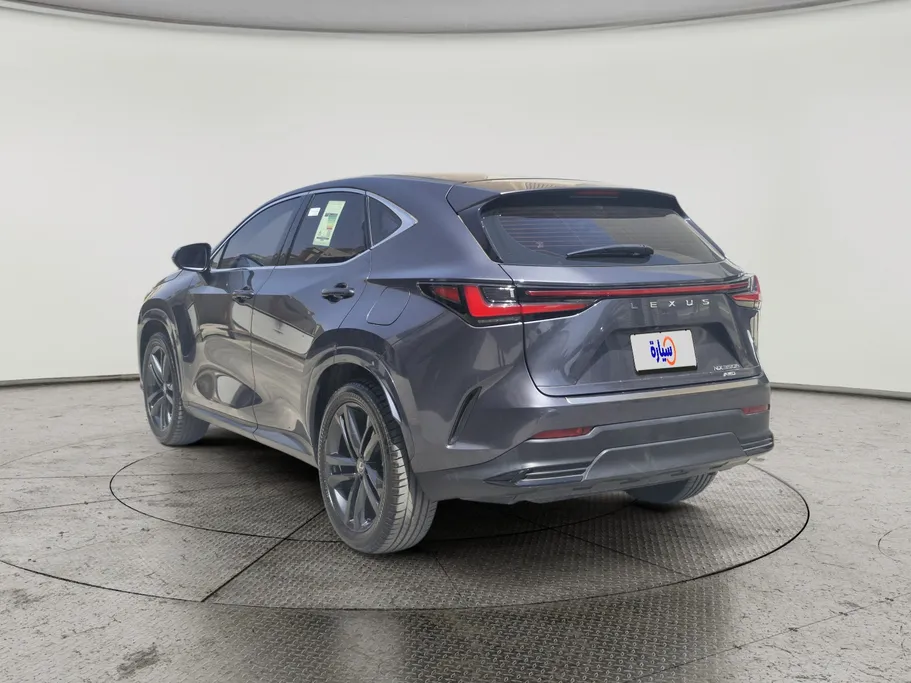 2025 Lexus NX 350h HH 