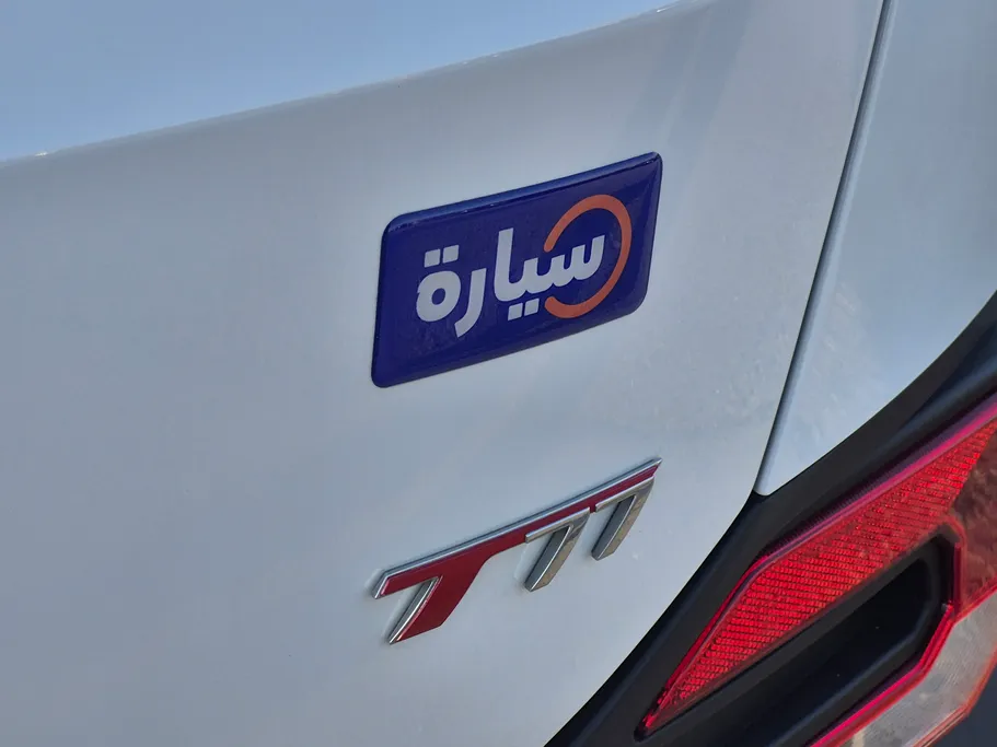 فاو بيستون تي 77 Basic 2024 