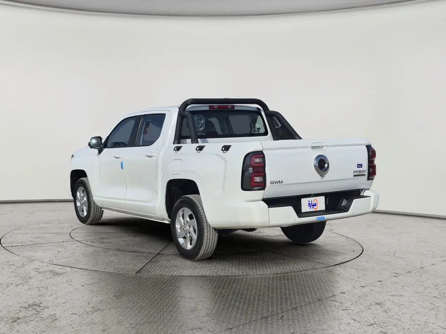 2023 Great Wall Poer King Kong LUX 