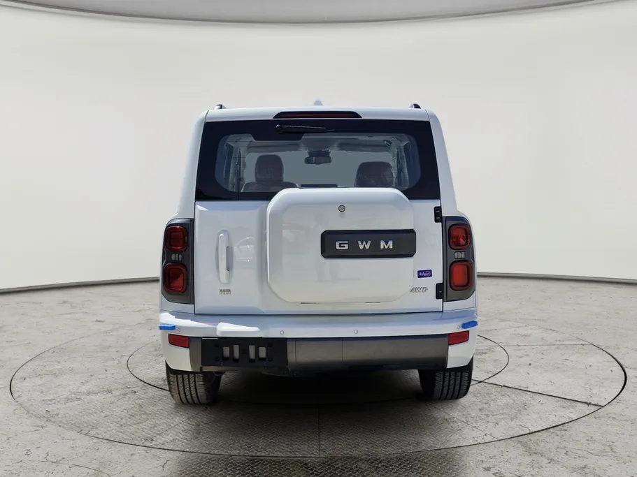 2025 Haval H9 MID 
