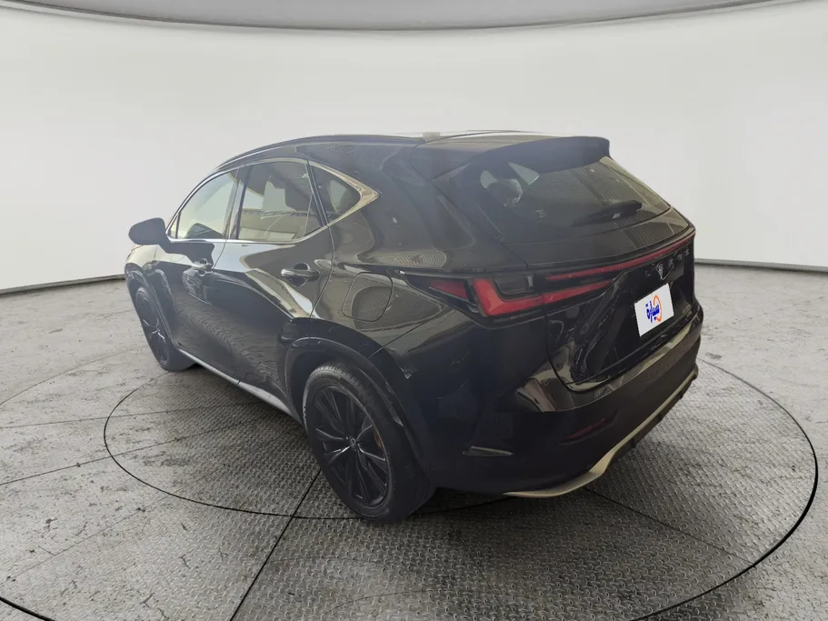 2024 Lexus NX 350 CC 