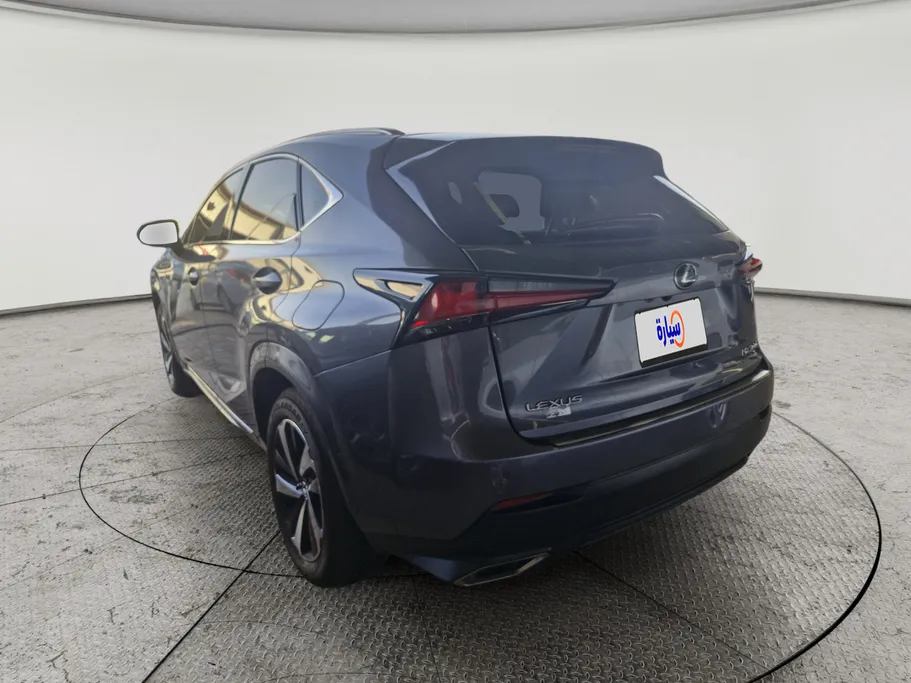 2019 Lexus NX 300 