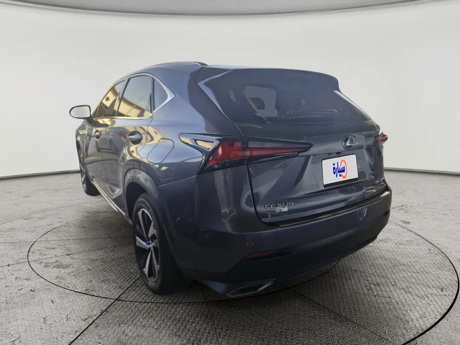 2019 Lexus NX 300 