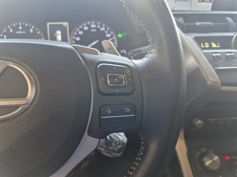 2019 Lexus NX 300 