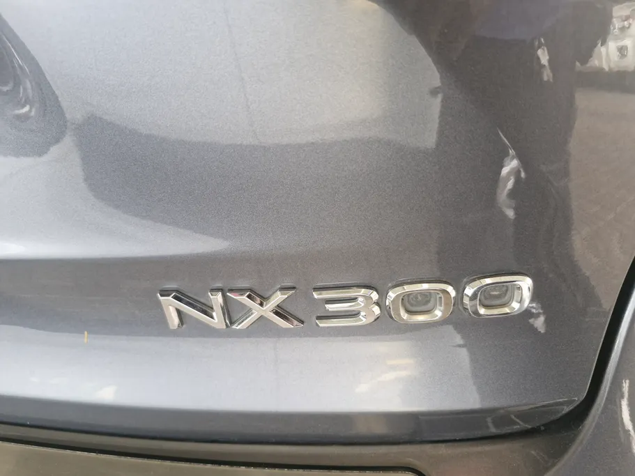 2019 Lexus NX 300 