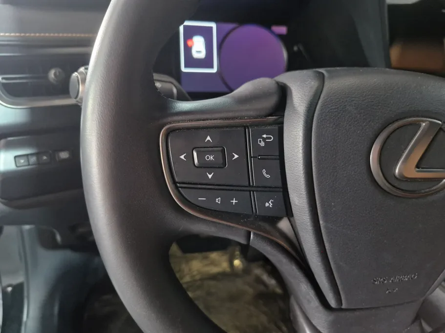 2023 Lexus UX 200 