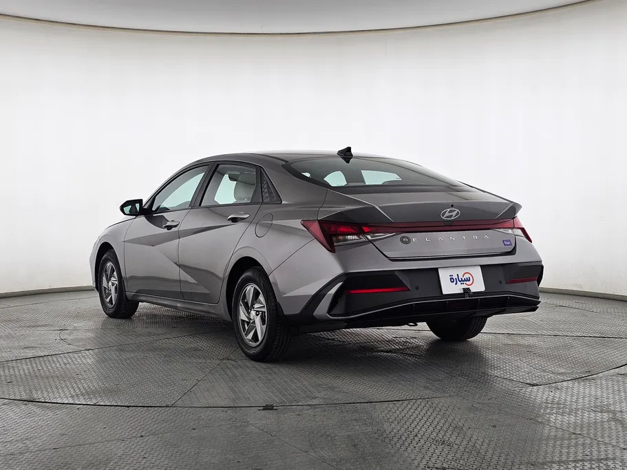2024 Hyundai Elantra Fleet 