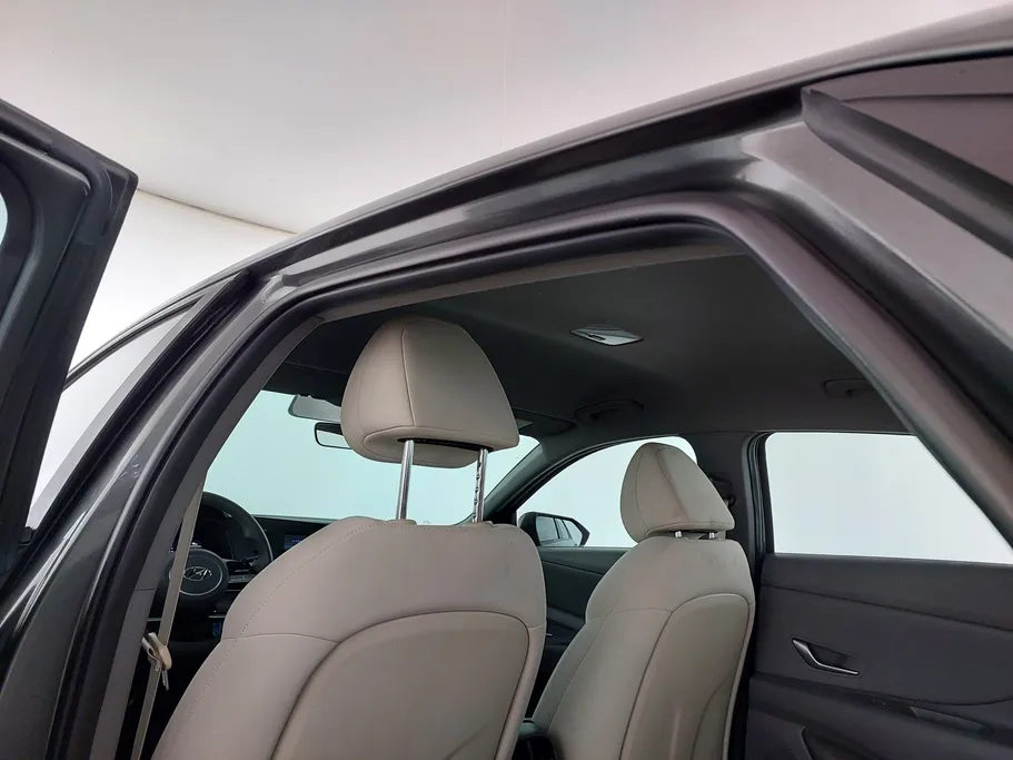 2023 Hyundai Elantra Fleet 
