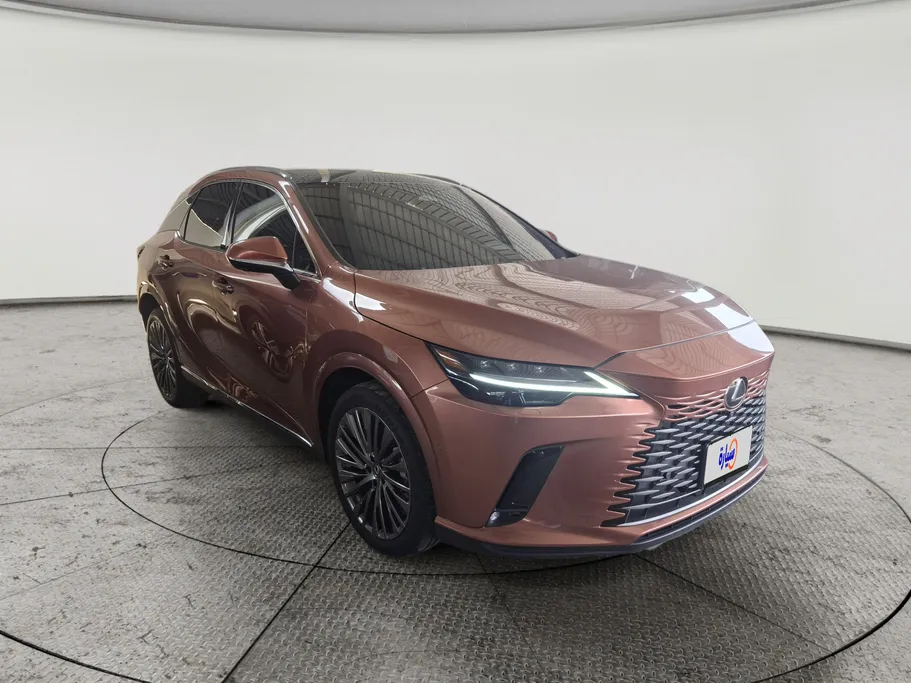 2023 Lexus RX 350 BB Excellence 