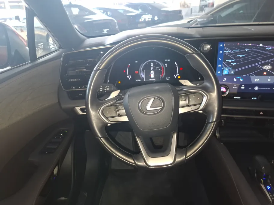 2023 Lexus RX 350 BB Excellence 