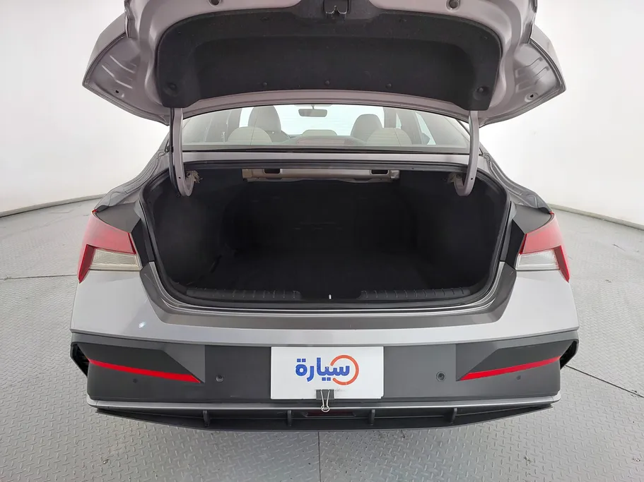 2024 Hyundai Elantra Fleet 