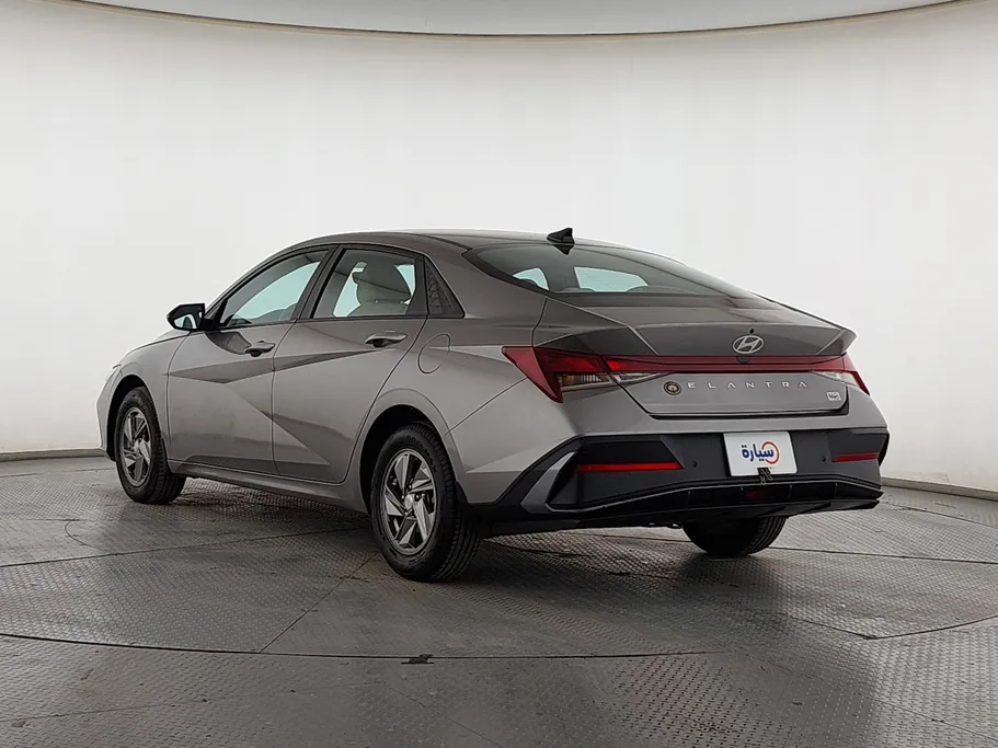 2024 Hyundai Elantra Fleet 