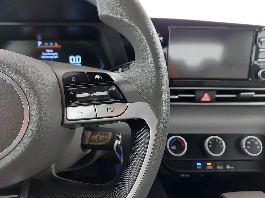 2024 Hyundai Elantra Fleet 
