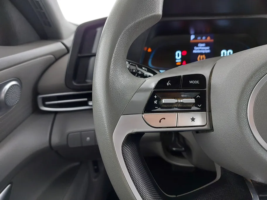 2024 Hyundai Elantra Fleet 